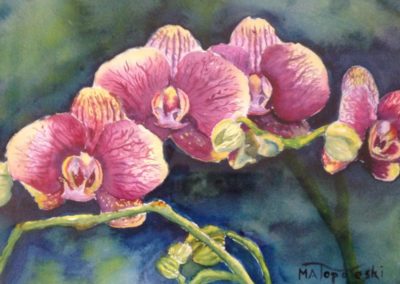 Matthew Topoleski, Orchids, $200, 16" x 20"