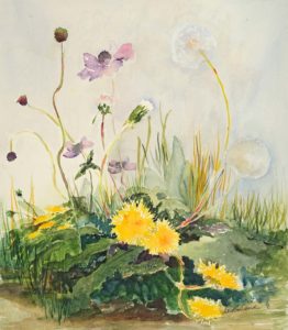 Connie Boland - Dandelions watercolor