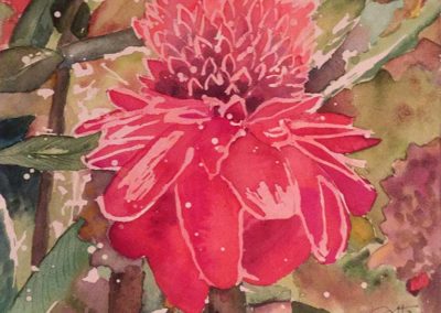 Cristina Crosetta - Ginger Flower watercolor