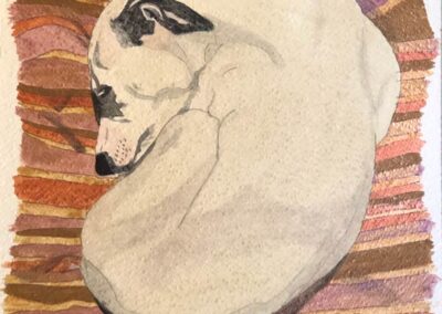 Alexandra Treadaway-Hoare - Sleeping Puppy watercolor