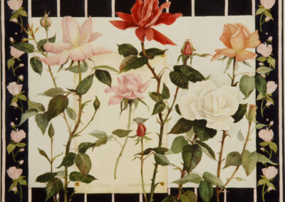 Concetta Scott - La Rosa d'Amore watercolor