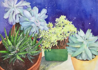 Linda Abbott - Succulents watercolor