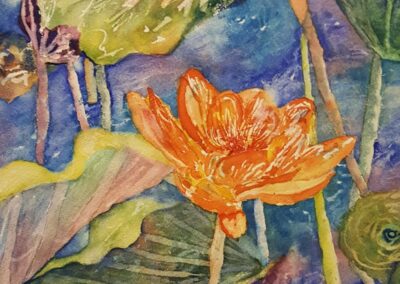 Linda Daniels Cermak - Lily Pond watercolor