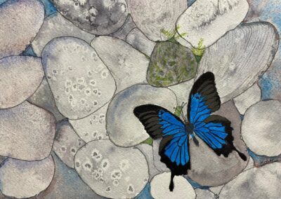 Alexandra Treadaway-Hoare - From Caterpillar-to Butterfly