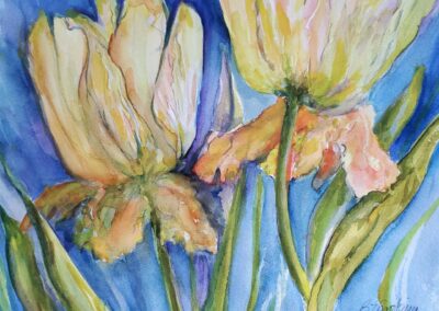 Billie Van Wieren - Golden Tulips