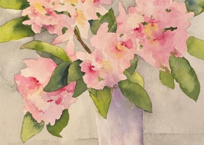 Jane Solomon Rhododendrons