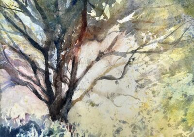 Cynthia Jennings Willow Tree by the Creek