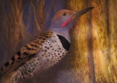 Jay Burch Flicker Sunset