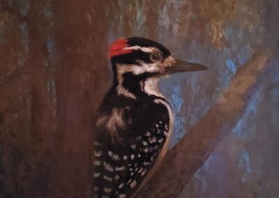 Jay Burch Woodpecker
