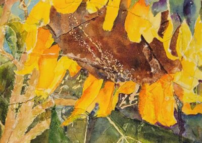 Linda Daniels Cermak Sun Worshipper