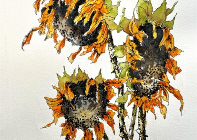 Mike Flynn End of Summer Sunflowers