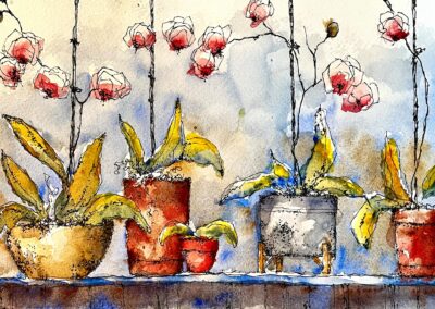 Mike Flynn The Orchids