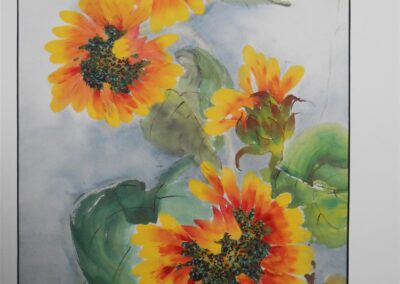 Robin Frosh Sunny-Flower-Day