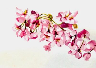 Tara Hamilton Blossoms