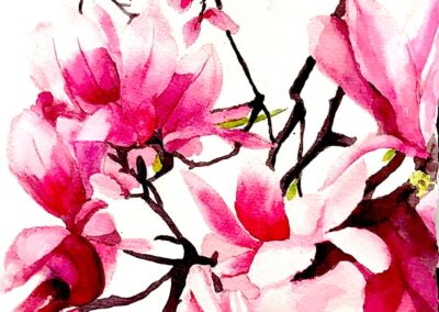 Tara Hamilton Magnolia Burst