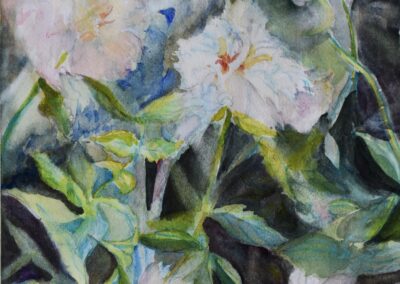 Cynthia Jennings A Garden Surprise