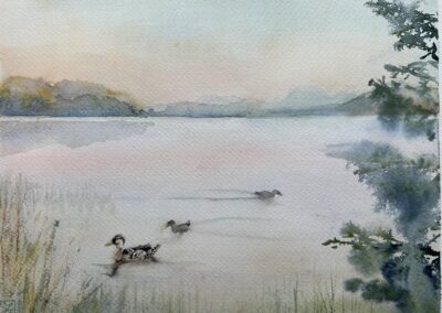 Cynthia Jennings Merganzers Fishing