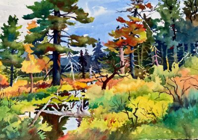 Theresa Kurtz Adirondack Bog