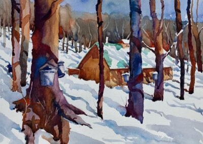 Theresa Kurtz Maple Syrup Harvest