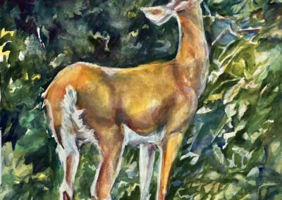 Carol Leo Grazing