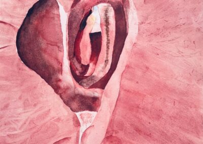 Norah Neale Pink Canyon