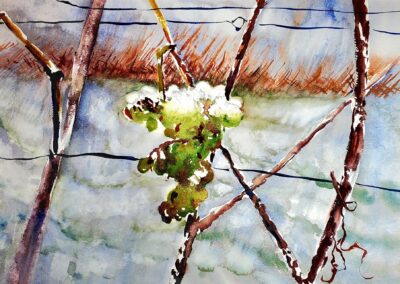 Rebecca Rothey Ice Wine