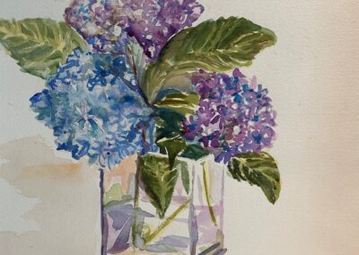 Courtney Severe Hydrangeas-