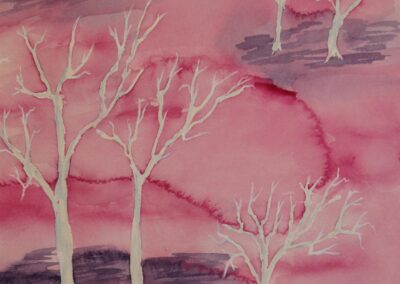 Matthew Topoleski Phantom Forest